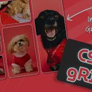 Create Portfolio Image Gallery Using CSS Grid Responsive Image Gallery