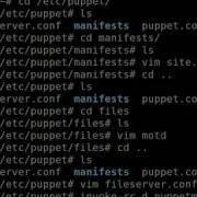Server Configuration With Puppet