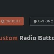 Amazing Custom Radio Button HTML CSS