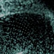 Trapcode Form Experiment