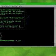 How To Install Programs On Linux Via Terminal