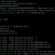 UnSHc Decrypt Shc Sh X Bash Script