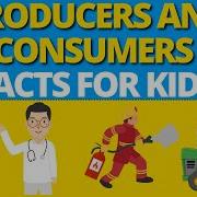 Producers And Consumers For Kids Facts For Kids