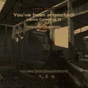 Quad Frag Grenade COD4