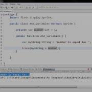 ActionScript 3 0 Chapter 4 1 Variables
