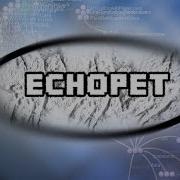 EchoPet Gource Source Code Visualisation
