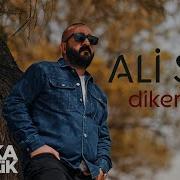 Alişah Dikenli Gül