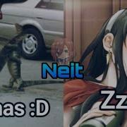 Shitpost Random V67 Panas D