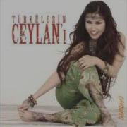 Ceylan 2010 03 Mardine