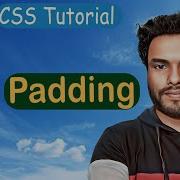 11 Padding In CSS Mastering Shorthand Padding Property CSS Tutorial