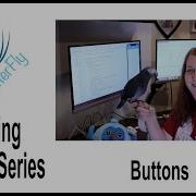 Beginning Flutter Episode 3 Buttons