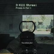 Call Of Duty 4 Triple M16 Spray