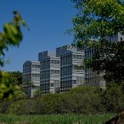 Analytical Instrumentation Facility At NC State University 2020 Virtual Introduction