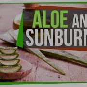 Does Aloe Really Treat A Sunburn