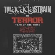 The Acacia Strain The Brooklyn Monarch 9 11 22