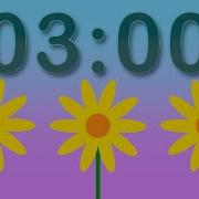 3 Minute Spring Timer Growing Flowers