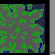 Real Time Adaptive A Vs Bug 2