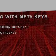 NetWitness Meta Keys And Indexing