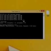 Run CMD With A Command PING Test