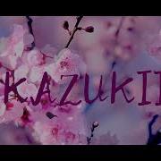 Kazukii Best Collection Chill Mix