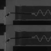 Sound Waves Out Of Phase