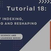 DS ML Tutorial 18 NumPy Indexing Slicing And Reshaping