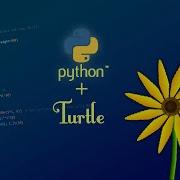 Create A Beautiful Flower With Python Turtle Graphics