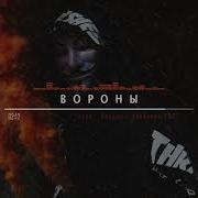 Xcho Вороны Мой дикий сад крылья вороны