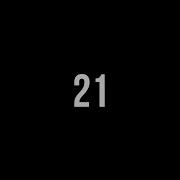 21 Second Timer Basic No Sound