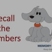 Is My Memory Normal Try Recalling These Numbers Improve My Memory Power