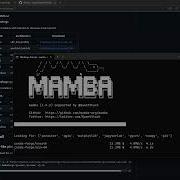 Install Mamba And Create A Python Environment With QGIS And PCRaster