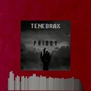 Tenebrax Priboy