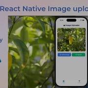 Upload Images To Cloudinary In React Native Expo 54 Full Guide