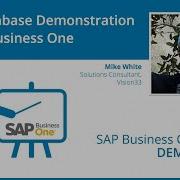 SAP Business One SQL Database Demonstration