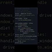 Python Selenium Handle Multiple Windows