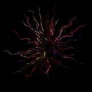 Touchdesigner Experiment Tutorial Growing