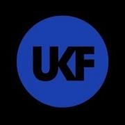 Borgore Decisions