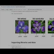 Prediction Using Decision Tree Algorithm The Sparks Foundation GRIP March24