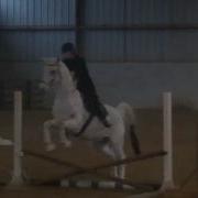 2012 NorthWind Winter Jumping Series 4 Cross Rails
