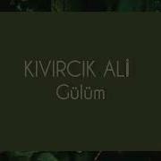 Kıvırcık Ali Gülüm Lyrics Sözleri