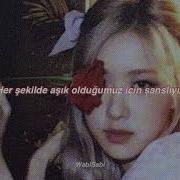Rose Onew Lucky Cover Türkçe Çeviri
