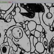 5 1 Watershed Image Analysis Class 2013