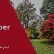 Westonbirt Arboretum Autumn Watch 14 October 2025