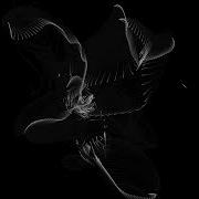 GenrVis Conflict In Cycles Ver3 HTDwJH
