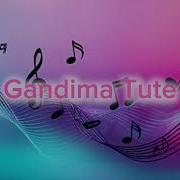 Parry Gandima Tute