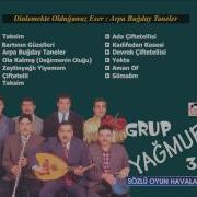 Arpa Buğday Taneler Grup Yağmur 3