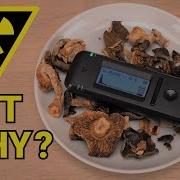 Radioactive Mushrooms Vs Affordable Gamma Spectrometer This Beats ALL Geiger Counters