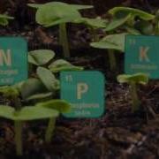 Phosphate Mining Video Middle High School