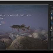 Fish Boids Algorithm Lua Script