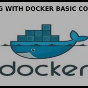 Docker Docker Basic Commands Docker Images Docker Containers Docker System Commands